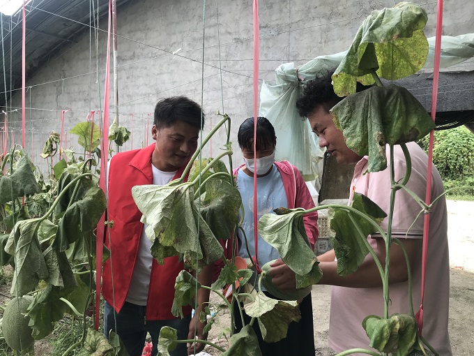 1628211084885384.jpg 4f8fe278ccd31f387fb2bab962428e9.jpg