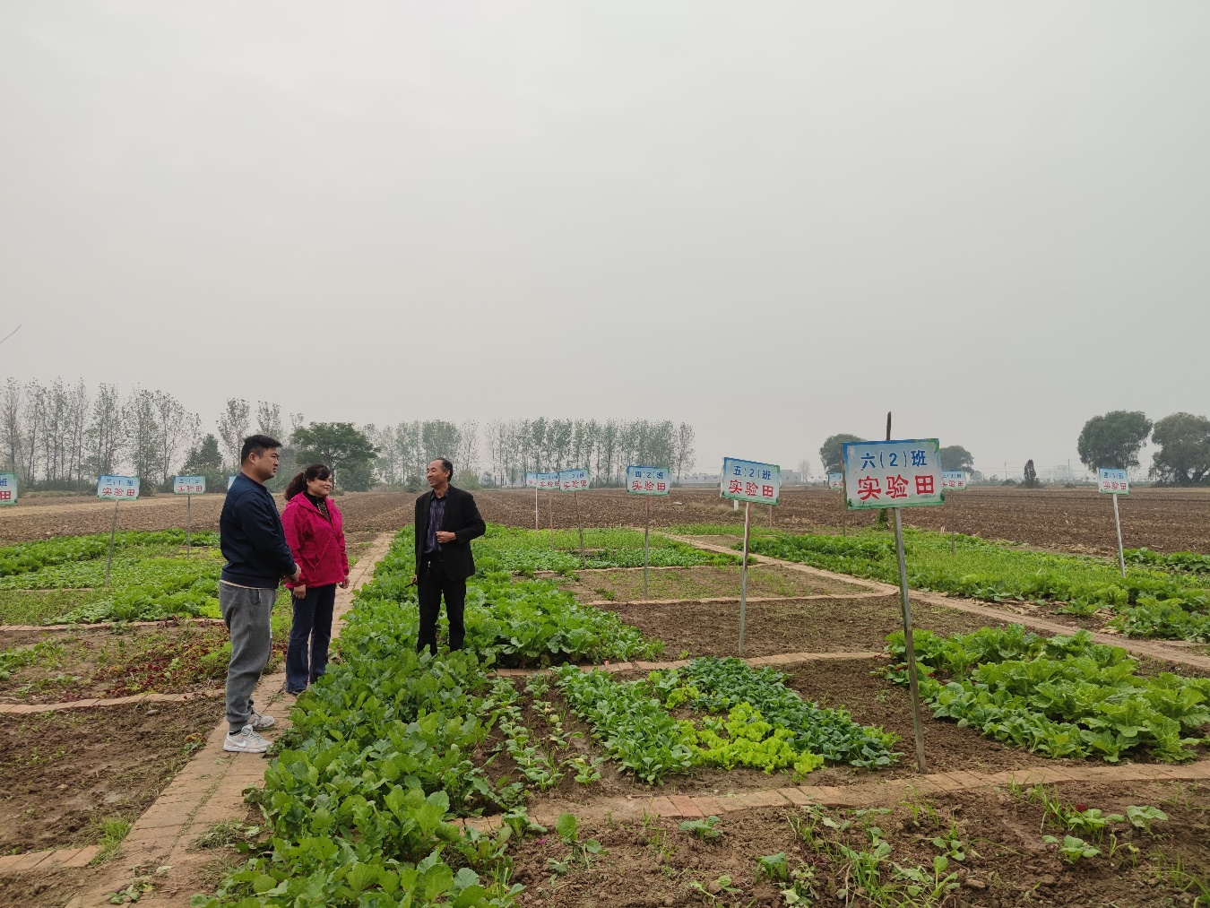 1634807657818775.png 图片1.png